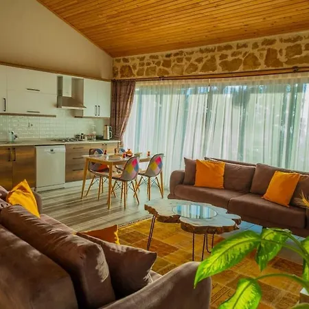 Villacar Villa *